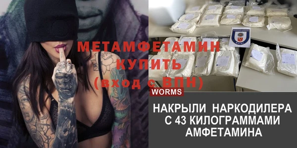не бодяженный Ладушкин